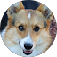 Susan Smith Avatar