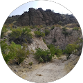 The Ritz-Carlton, Paradise Valley, The Palmeraie - Paradise Valley, Arizona