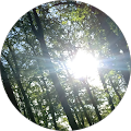 Terra MBO Assen - Assen