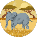 Renisha Jane Avatar