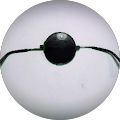 Curis - Beneden-Leeuwen