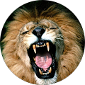 Avatar de Daniel.