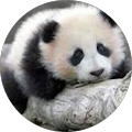 Avatar de Sandrine.I