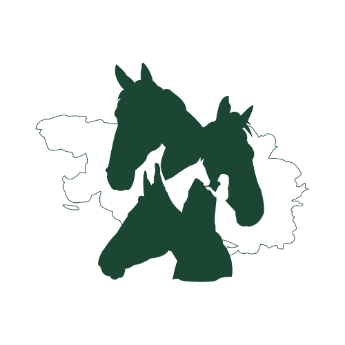 Centre Equestre de Kerblanquet EARL