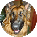 Avatar de Sylvie.o