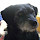 Mathias Fleury's profile photo