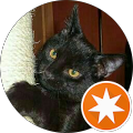Avatar de Cachou.i