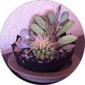 Avatar de Sylvie.h