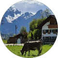 Roy Pelzer GmbH Fliesenleger Stahnsdorf - Stahnsdorf