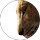 Mari LA profile picture
