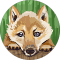 Avatar de Pascal.r