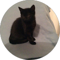 Avatar de Priscille.e