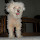 pupand...@yahoo.com's profile photo