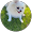 ta syo