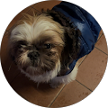Avatar de Anna-Maria.e