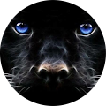 Avatar de Shadow.a