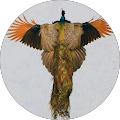 Avatar de Véronique.c
