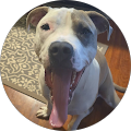 Review Author Image