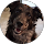 Community member