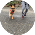 User profile - Lexi GSD.