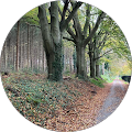 BeruLeads Online Marketing - Haren