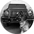 Ester Madoian