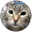 猫大好き“猫大好き”