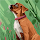 Jill's profile photo