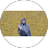 Dinda Sabila