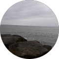 Avatar de Célia.v