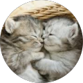 Avatar de laeti.