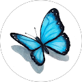 Avatar de Sabine.o