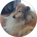 Avatar de Alessandra.o