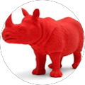 Avis de Rhino.e avec une note de 5 sur 5