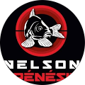 Avatar de NELSON.R