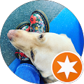 Guide Dogs Centre - Glossodia - Glossodia, New South Wales