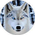 Avatar de Pascaltxxxhvgx.a