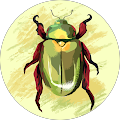 Review Author Image