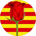Jose M Berenguer Revetllat