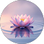 Jyoti Madhavan Avatar