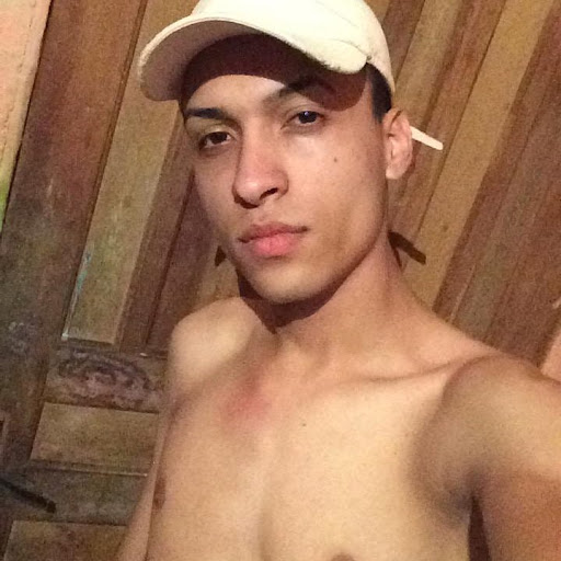 Olá Nina Pet — foto 4
