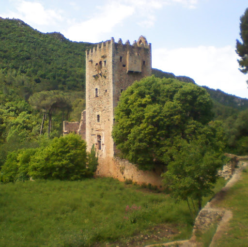 Bernardo Grande Bernases