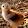 Toledo Grows's profile photo