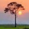 71nguyenngocnguyenbinh