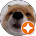 Tyus comment image