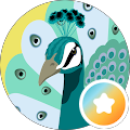 PeacockMint