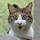 Kettir's profile photo