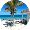 BL Auto Glass - Davenport, Florida