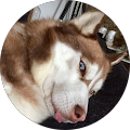Avatar de Romu.