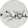 Community member